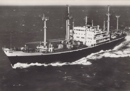 Nedlloyd cargo ship - cargo,